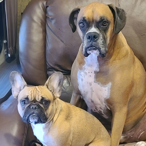 Meet your Posher, Annette - Picture 11 of 15